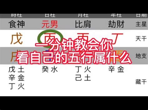 命屬土|免費生辰八字五行屬性查詢、算命、分析命盤喜用神、喜忌